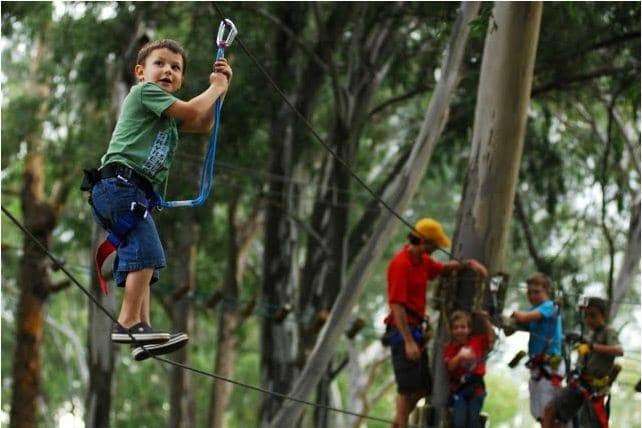 Zipline Thrills