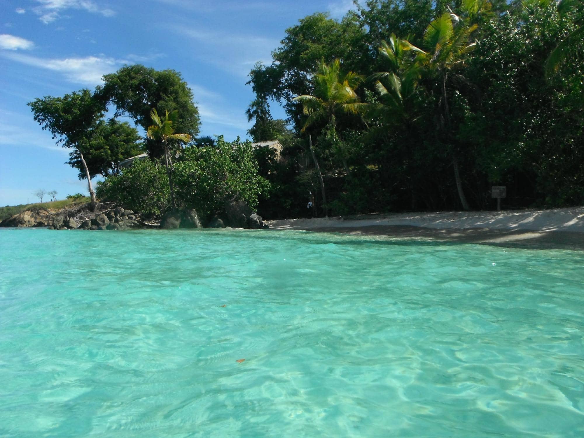 Vibrant Coral Reefs