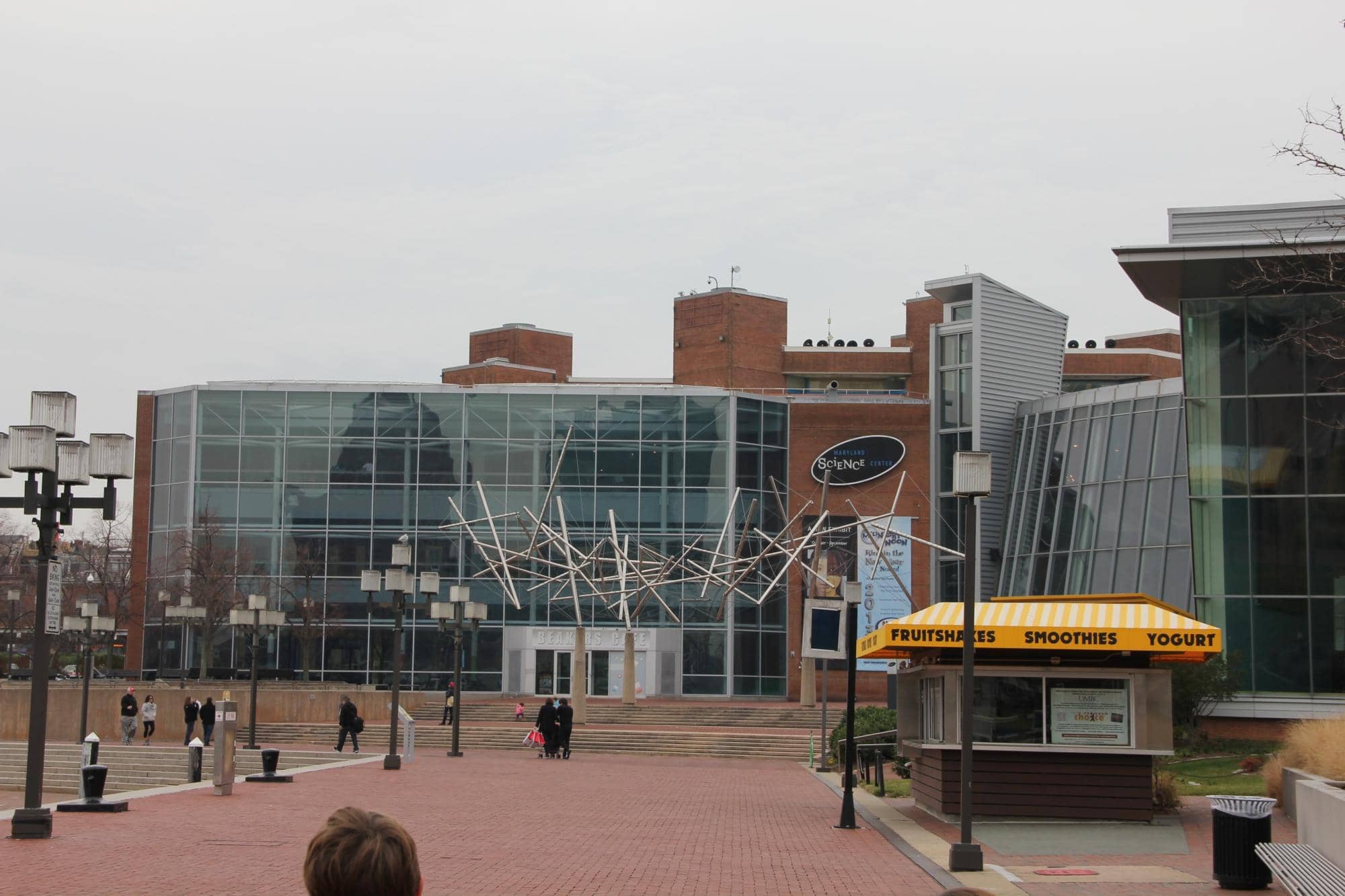 Dinosaur Exhibit