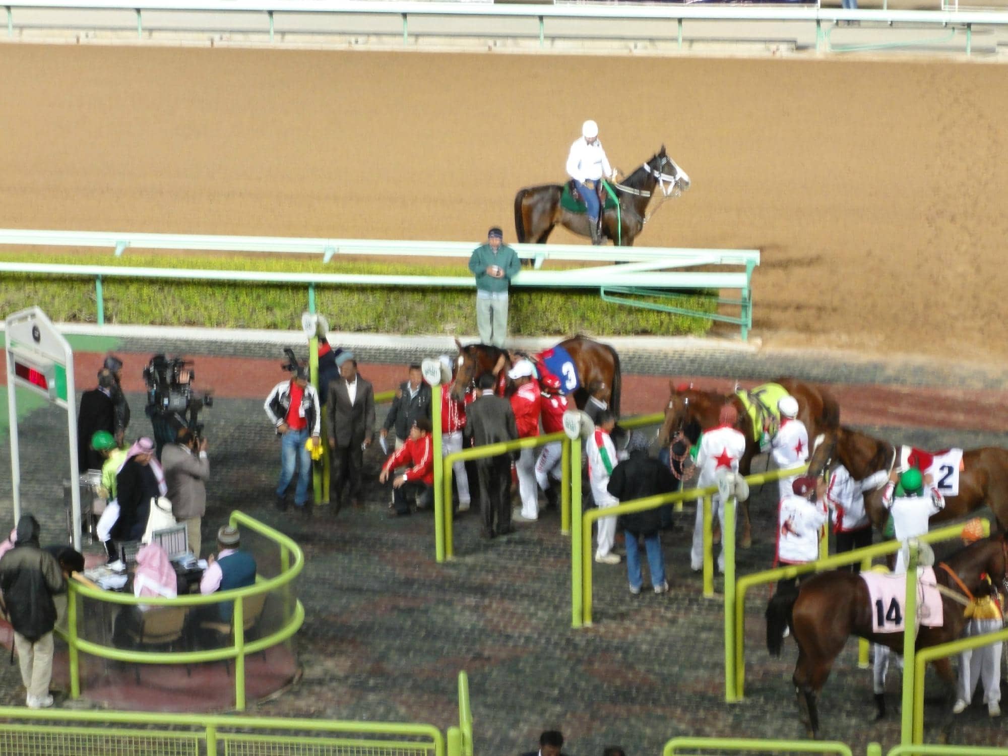 Jockey Challenge