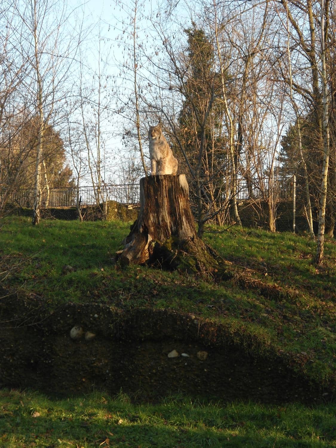 Peaceful Walking Trails