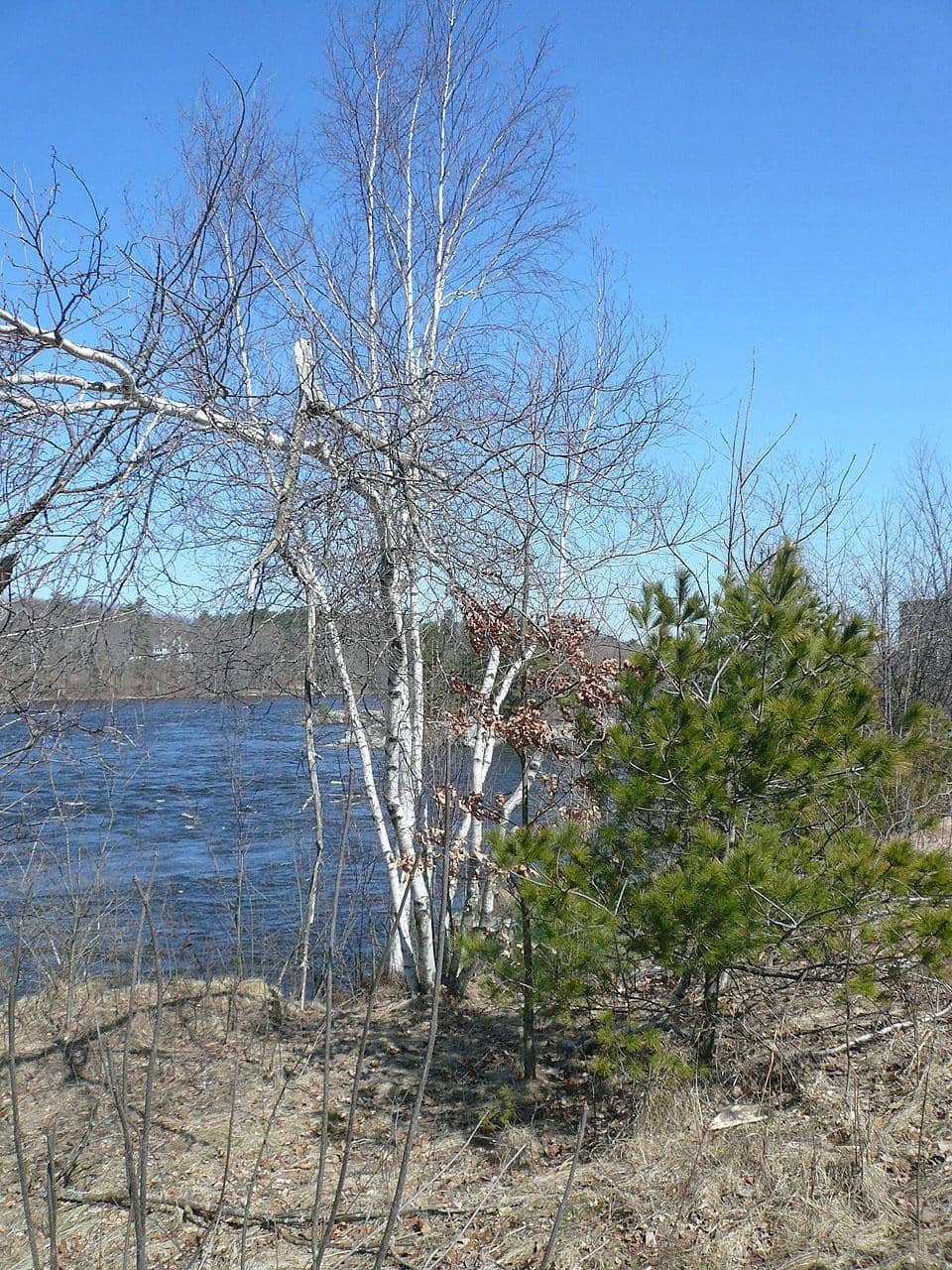 Rocky Shore Access
