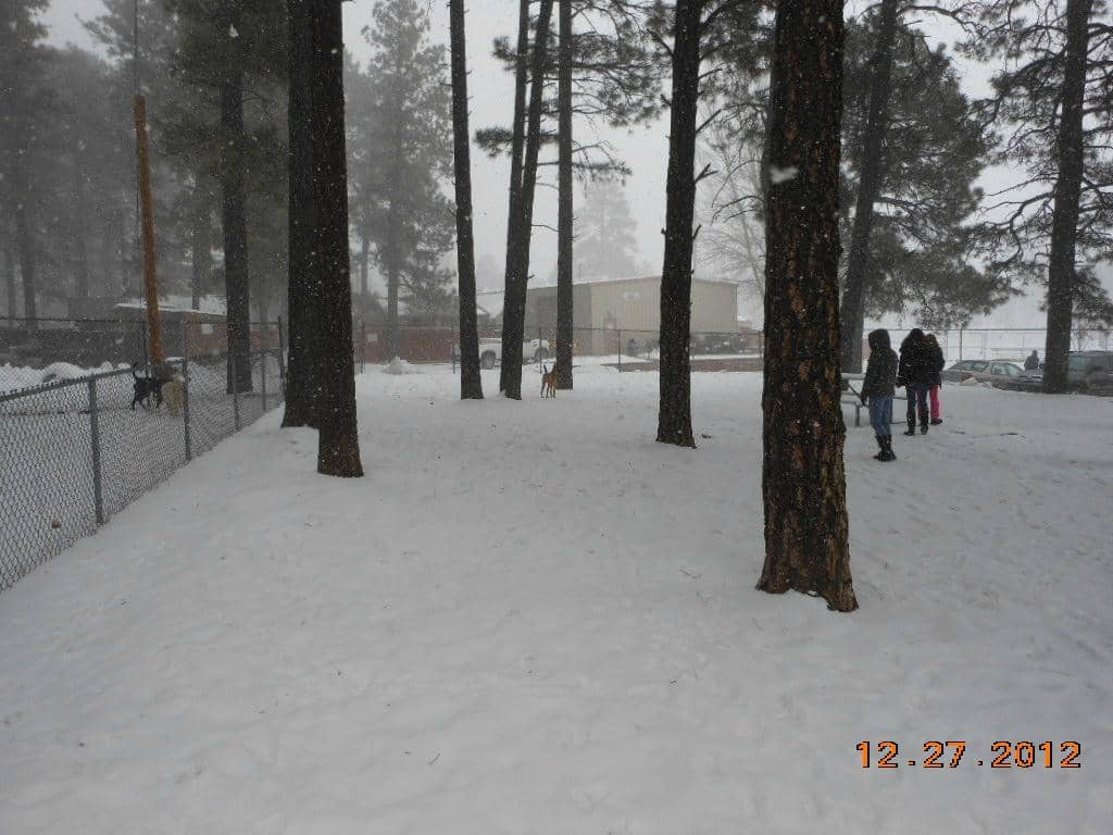 Vertical photo
