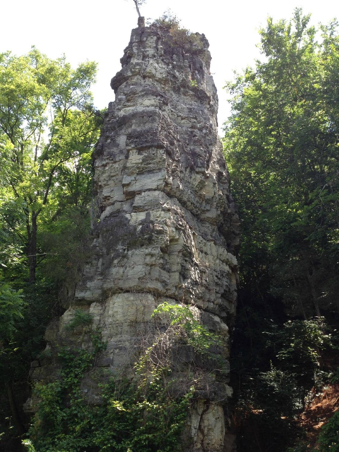 Vertical photo