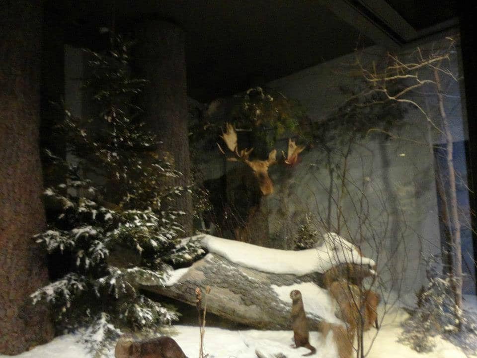 Rotating Exhibits