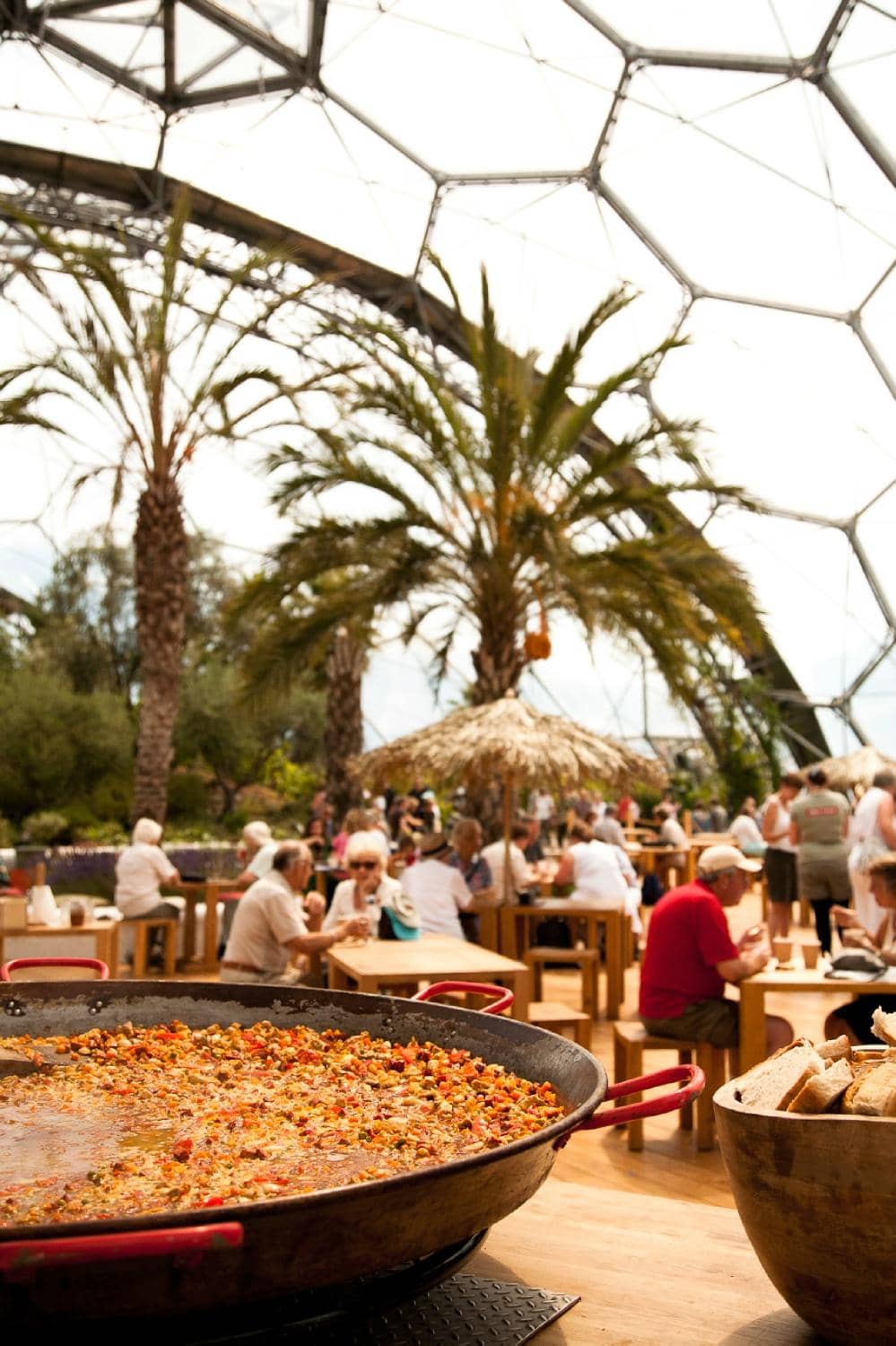 Mediterranean Biome