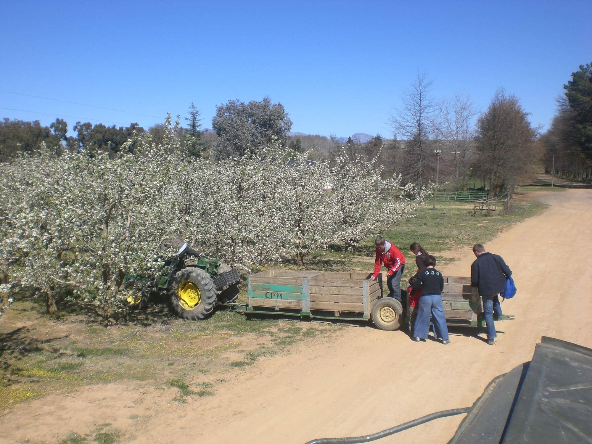 Winter Snow Experience