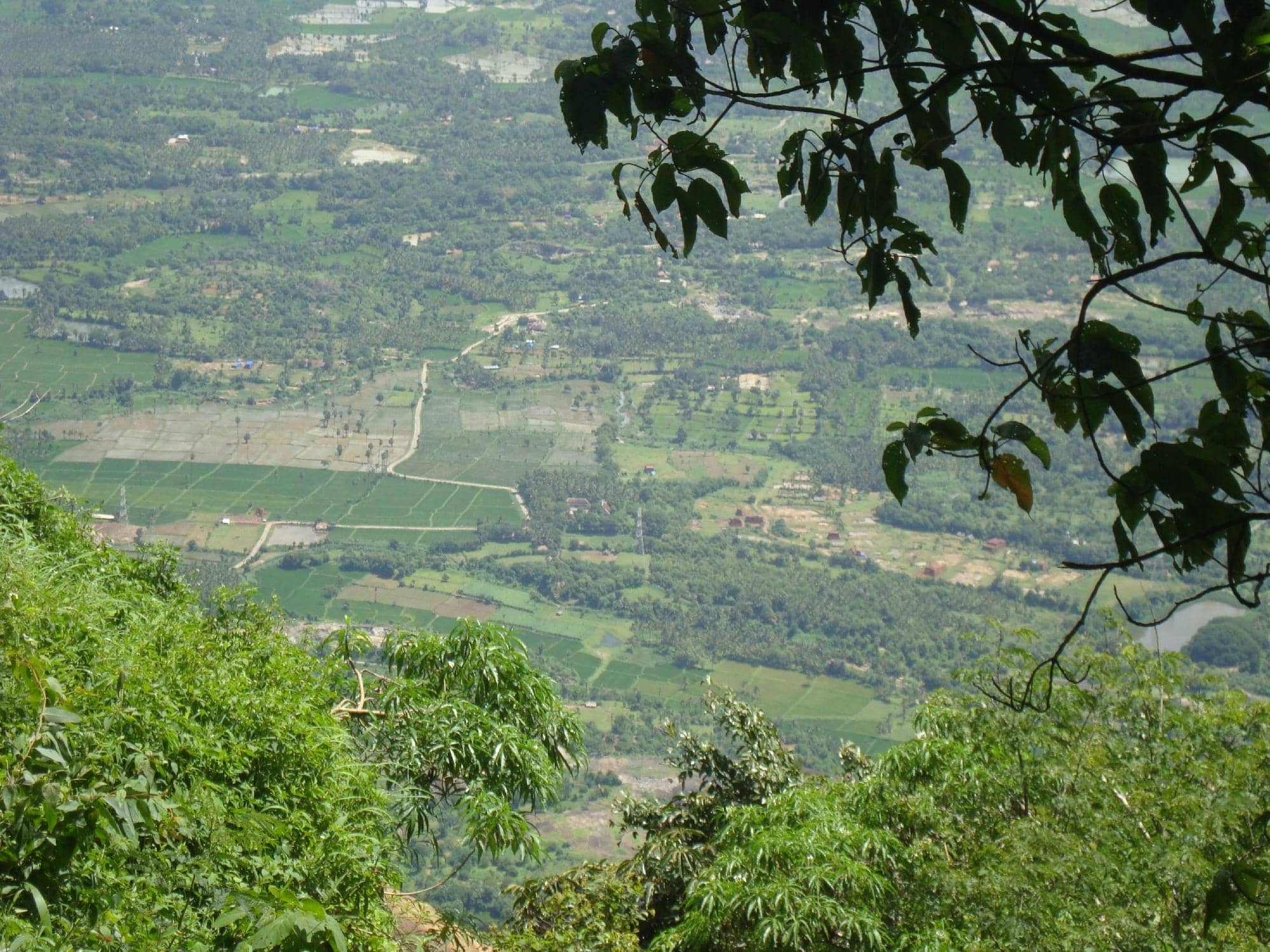 Vertical photo