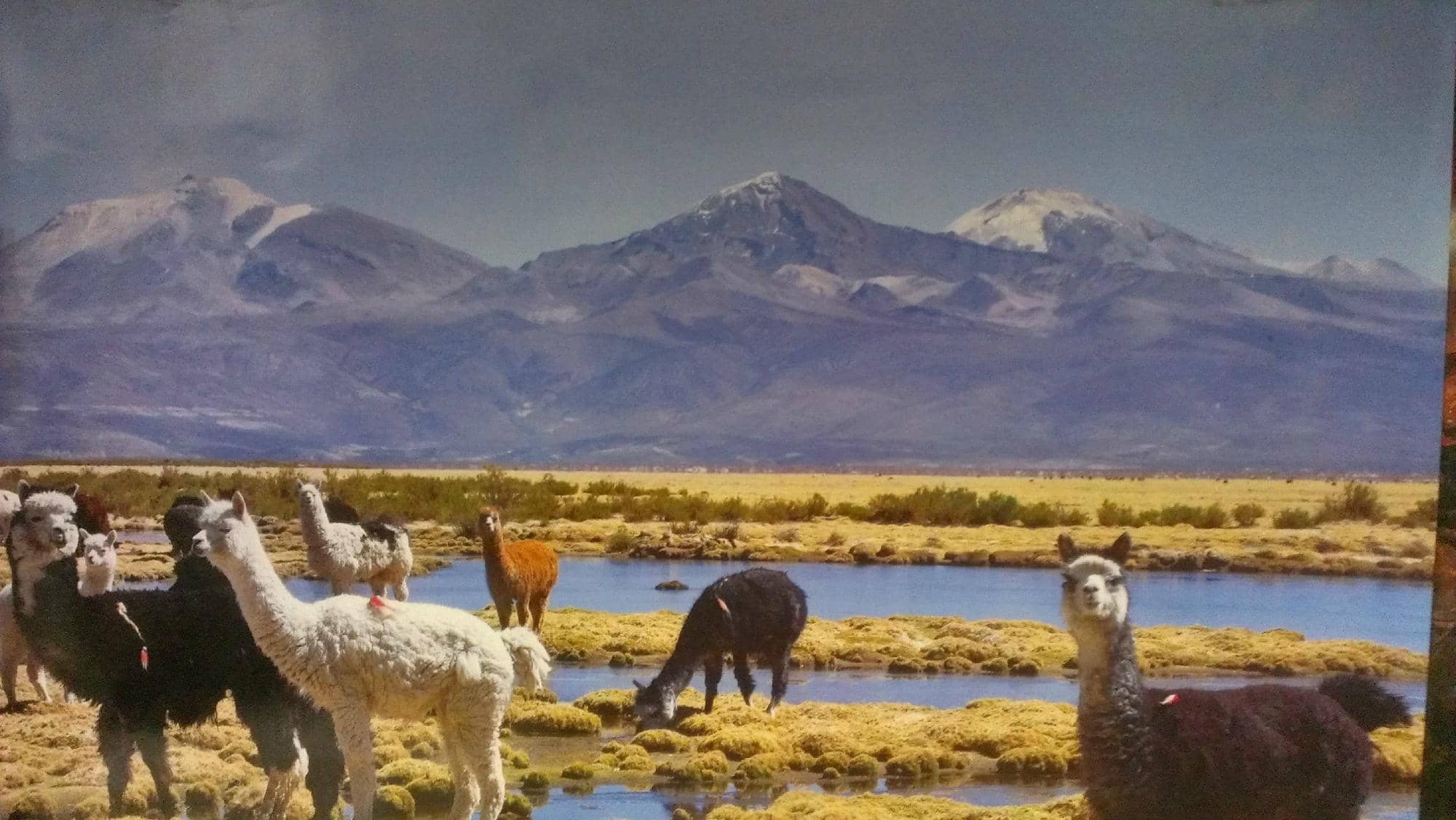 The Stairway Challenge