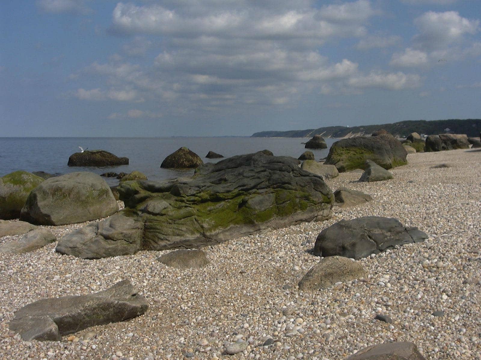 Picnic and BBQ Areas