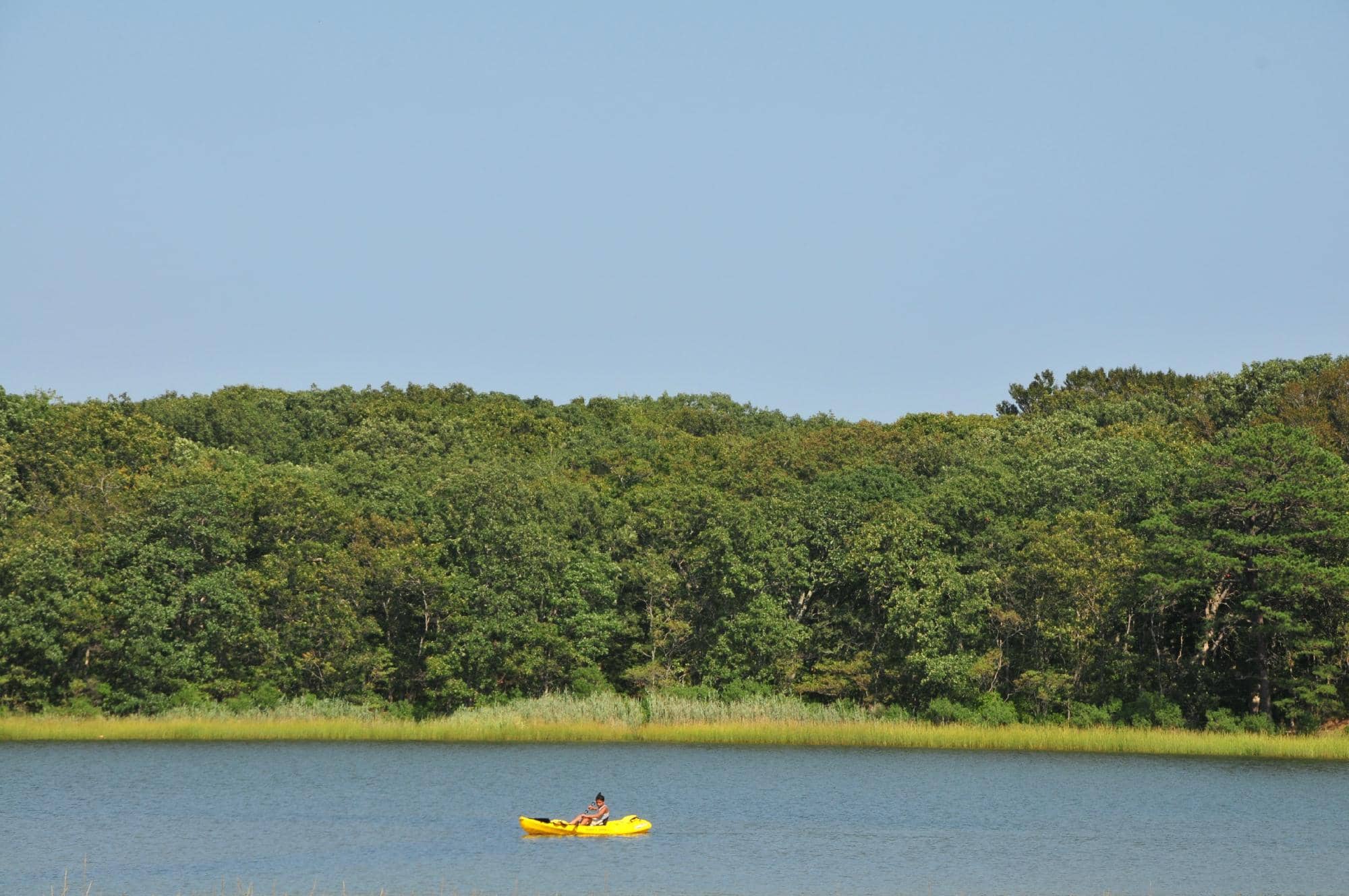 The Inlet's Calm Waters
