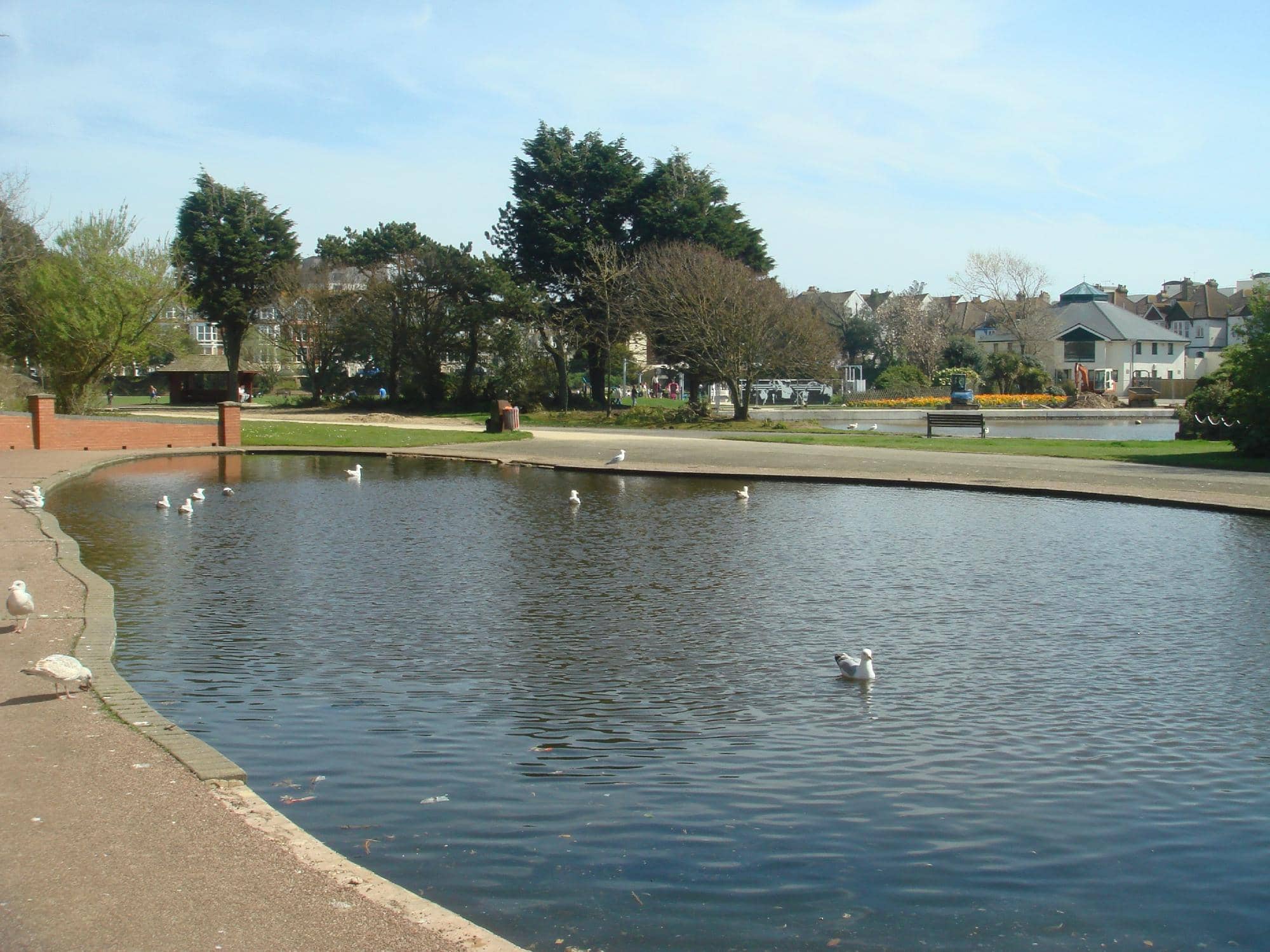 Lakes and Wildlife