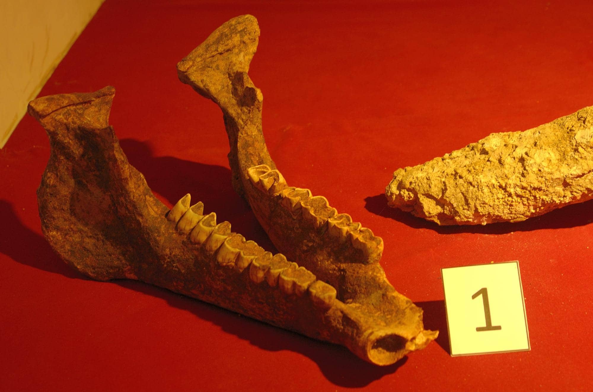 Stone Tools and Dioramas