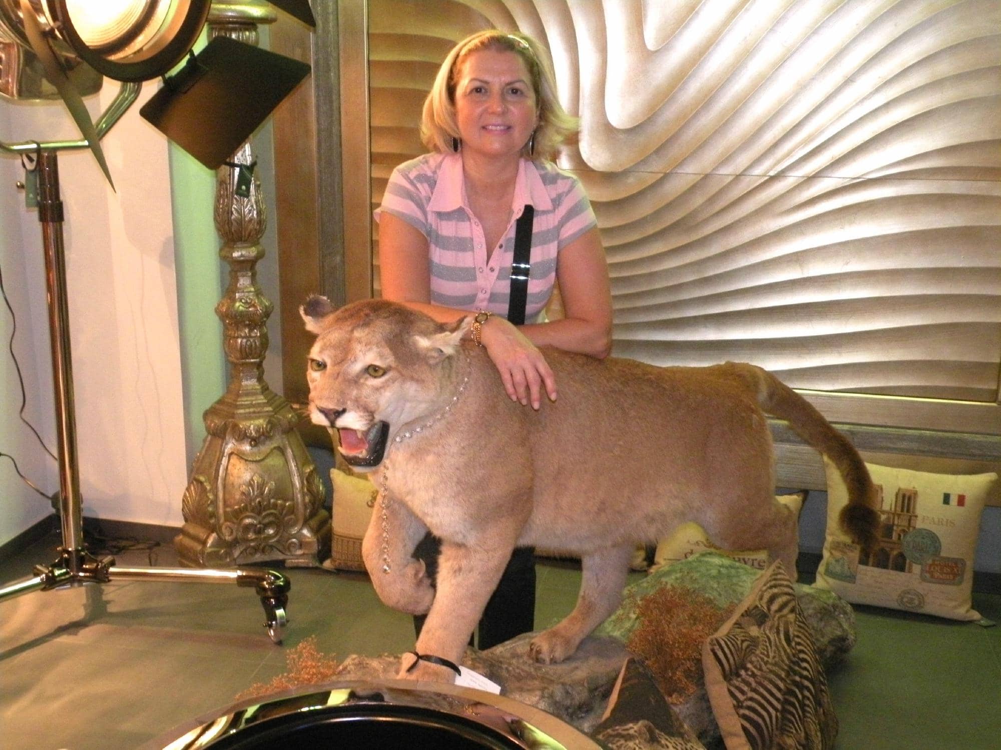 Charming Boutiques & Cafes