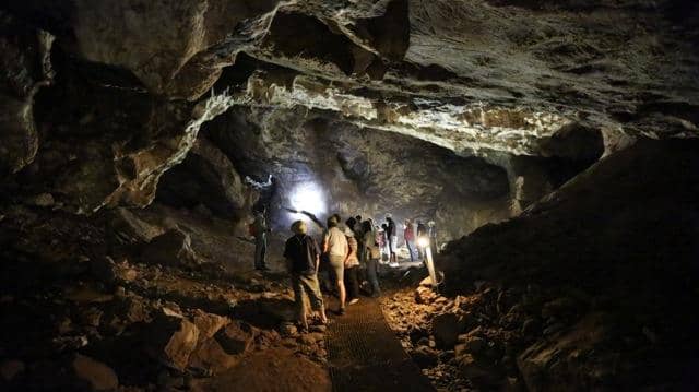 Nirox Sculpture Park