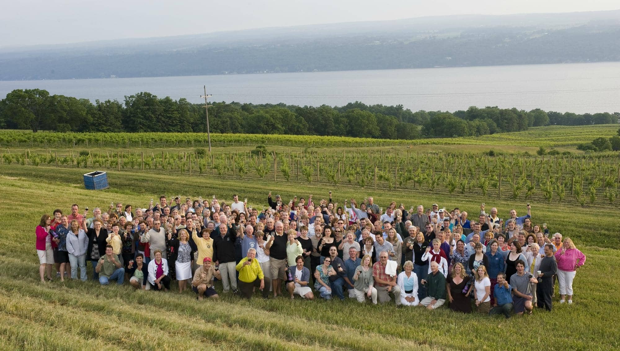 Estate-Grown Wines