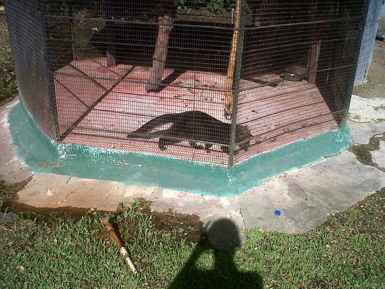 Conservation Efforts