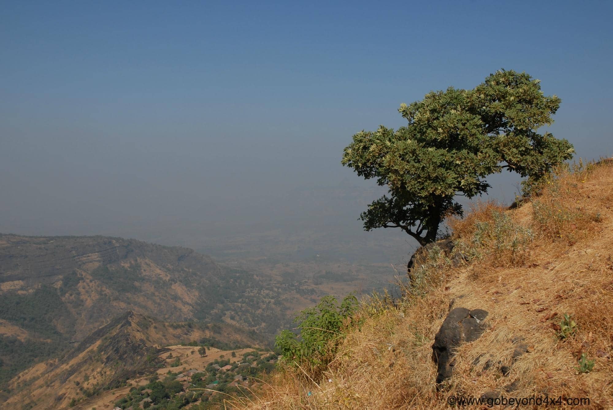 Lake Charlotte Glimpse
