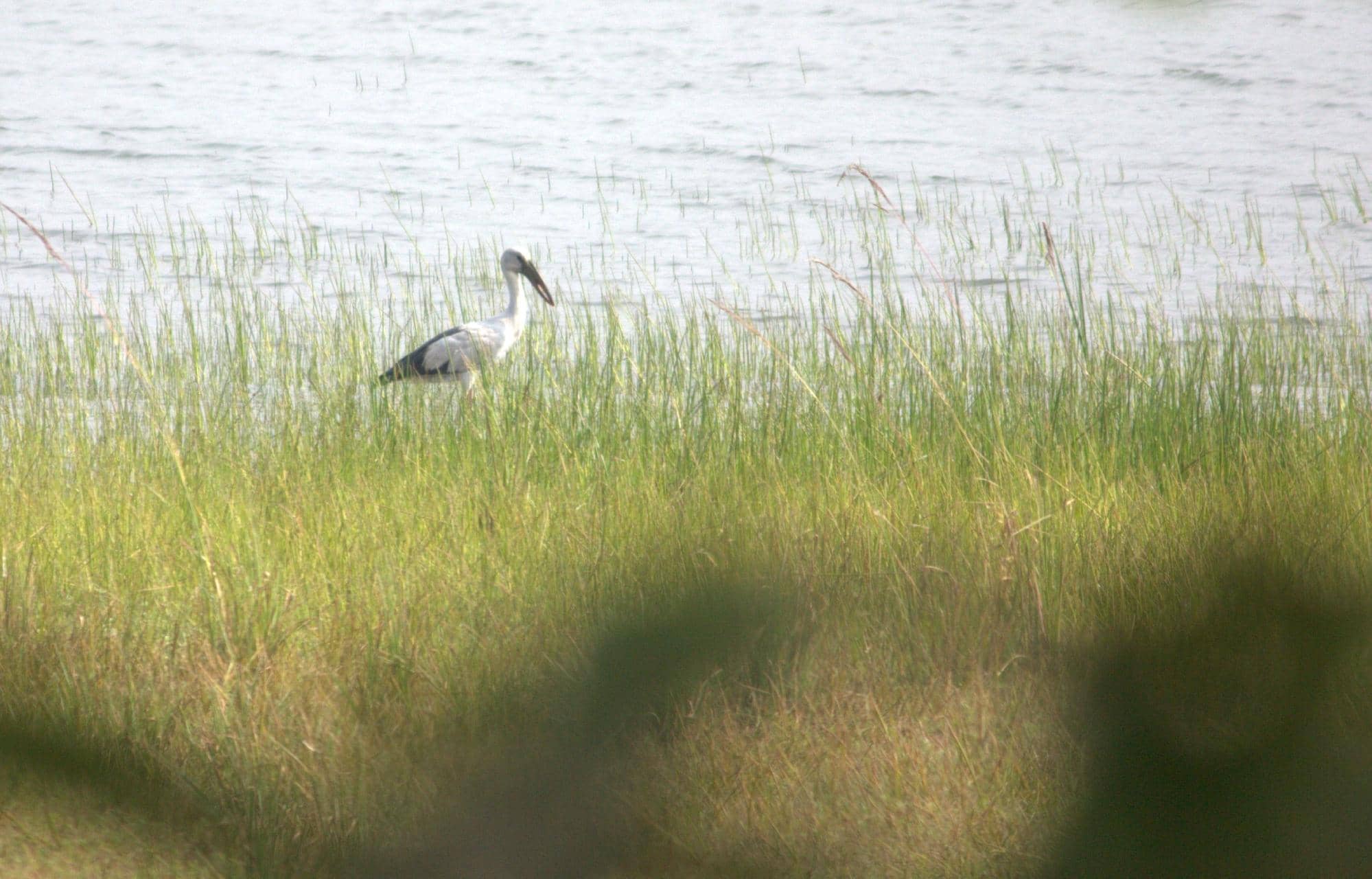 Photographer's Paradise