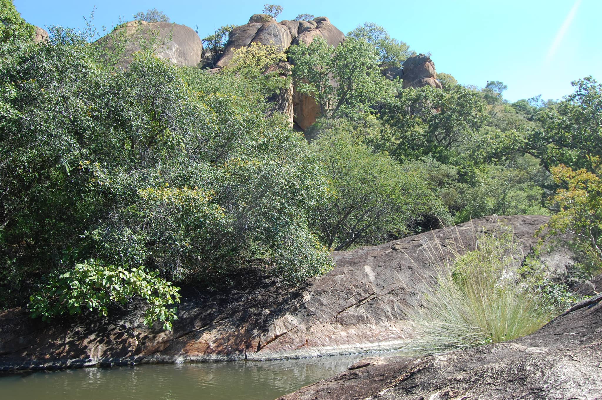 Rhino Encounter