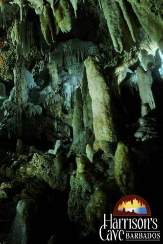 Tastes & Tales Rum Experience