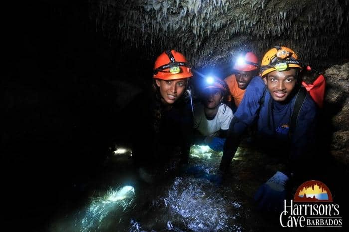 Monkey Zipline Adventure