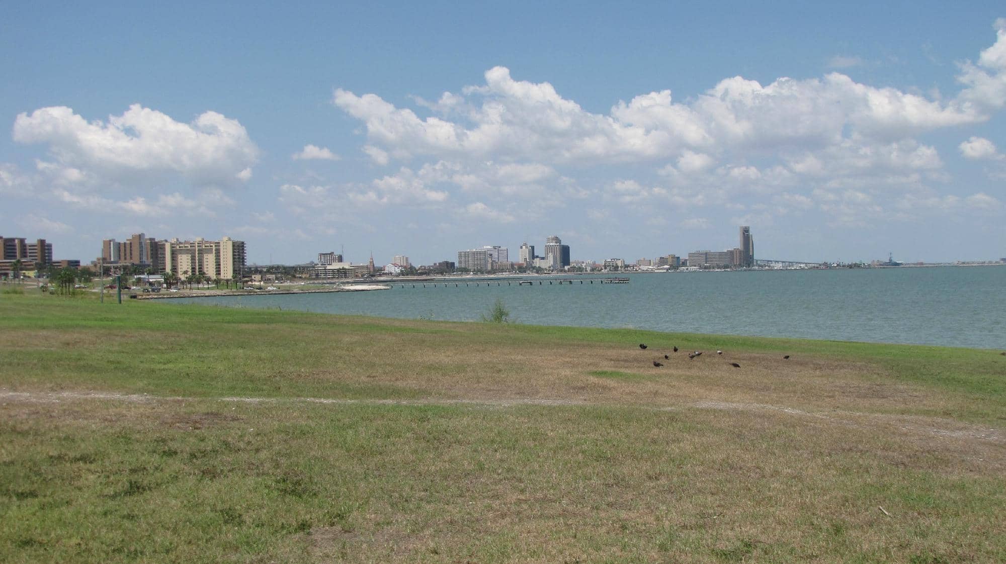 Fishing Haven