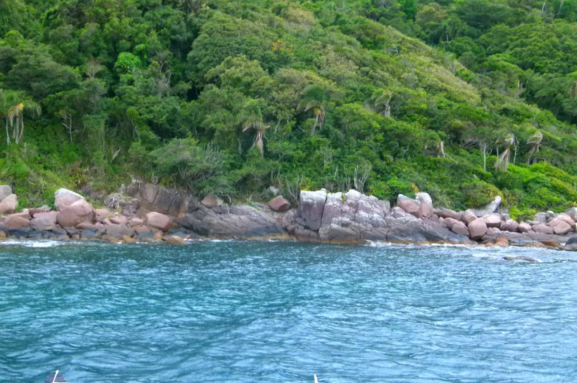 Underwater Wonderland