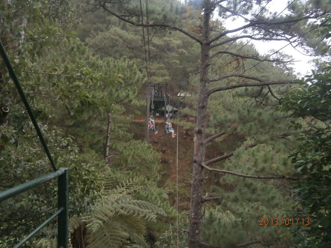 Treetop Climbs