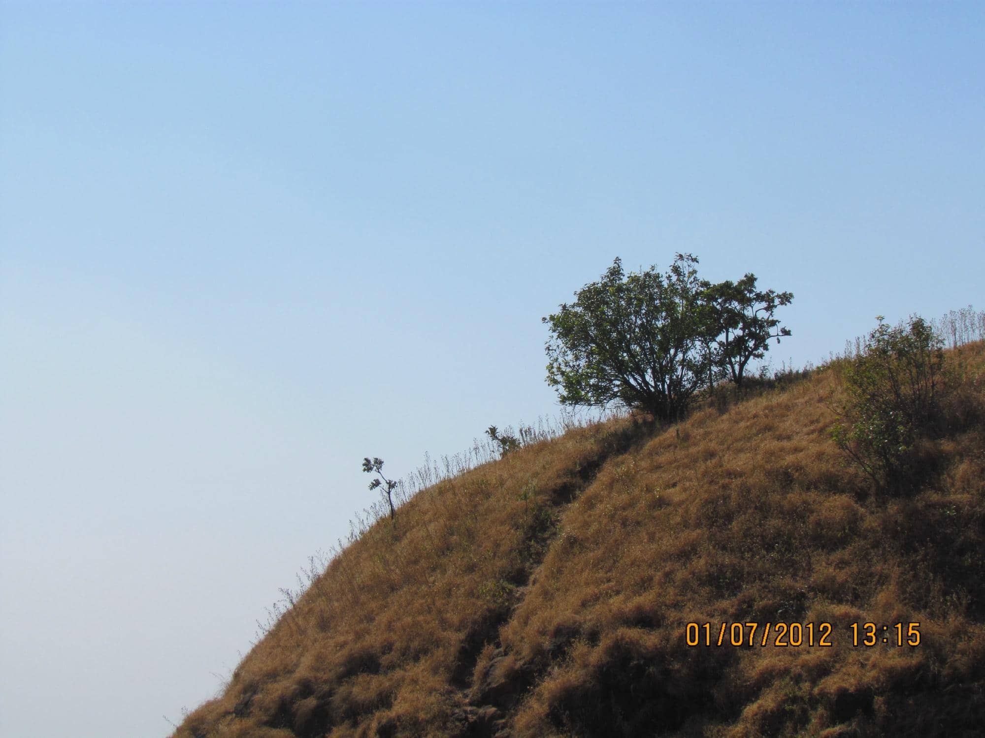Vertical photo