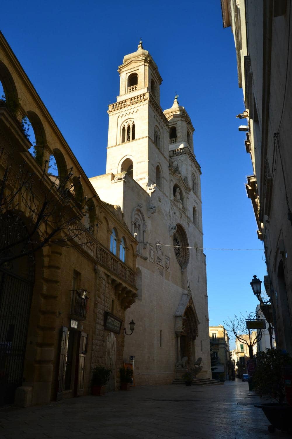 Vertical photo