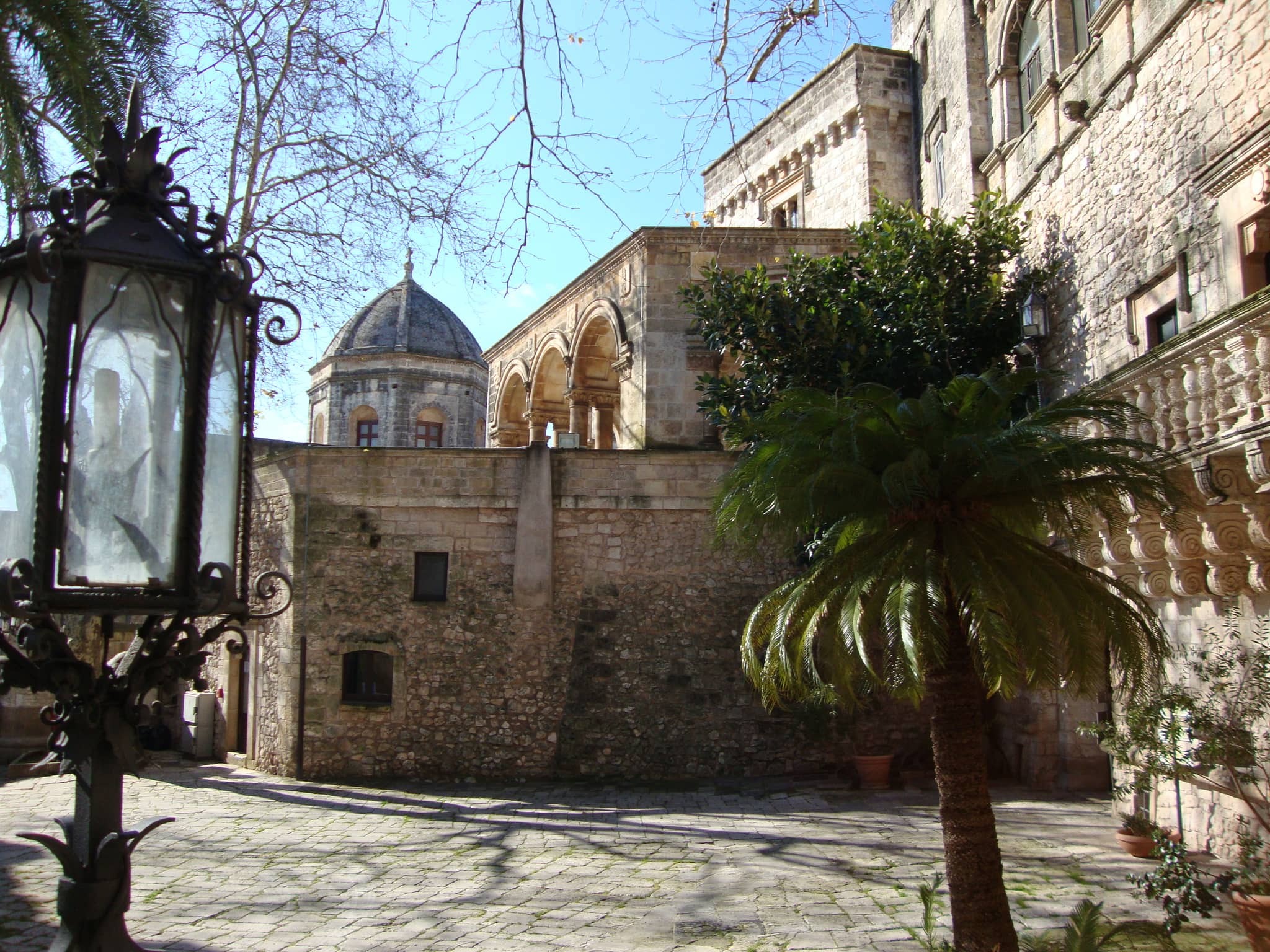 Courtyard Oasis