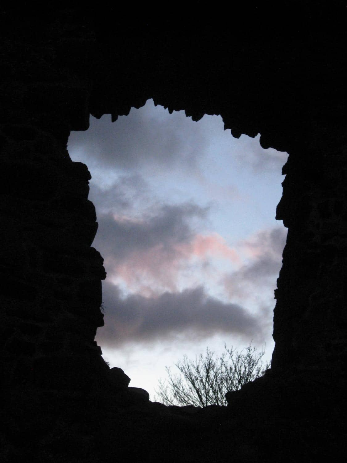 Vertical photo