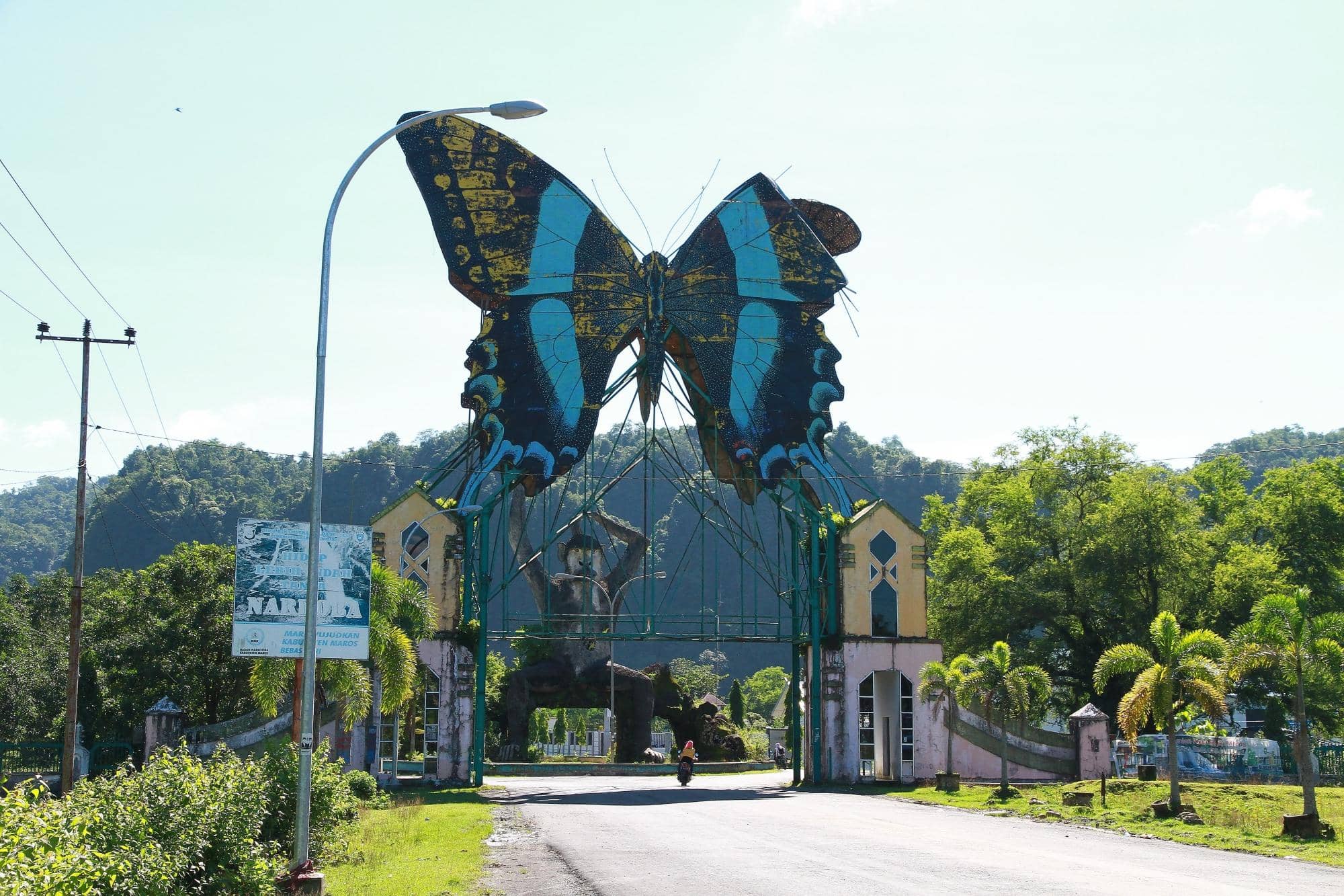 Kingdom of Butterflies