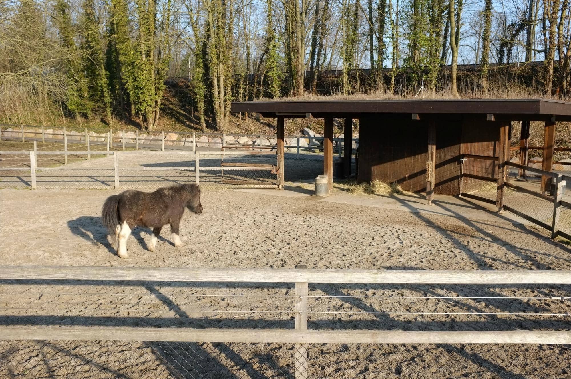 Fantastic Playground