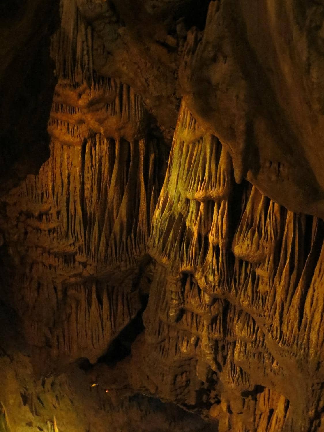 Vertical photo