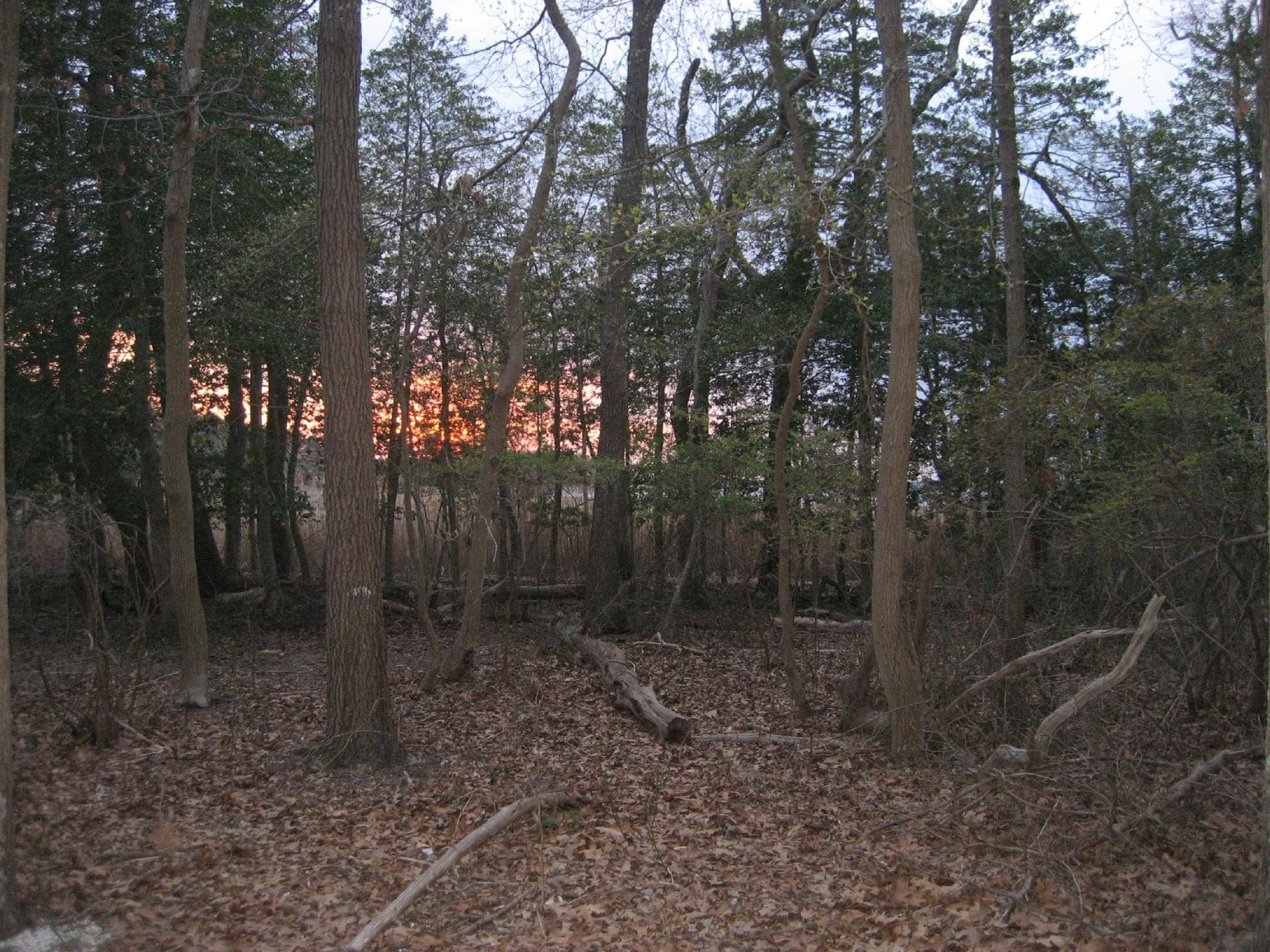 Environmental Nature Center