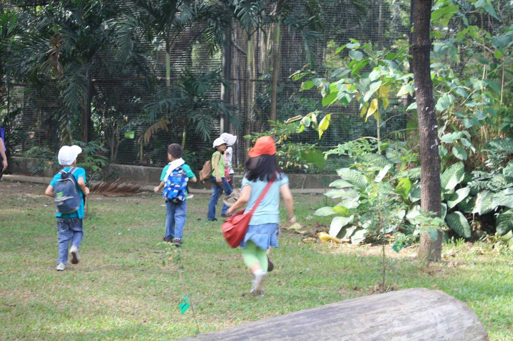 Lush Botanical Gardens