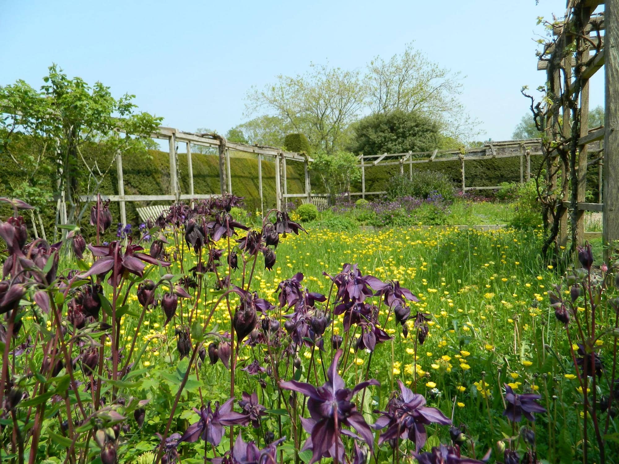 Living History Festivals