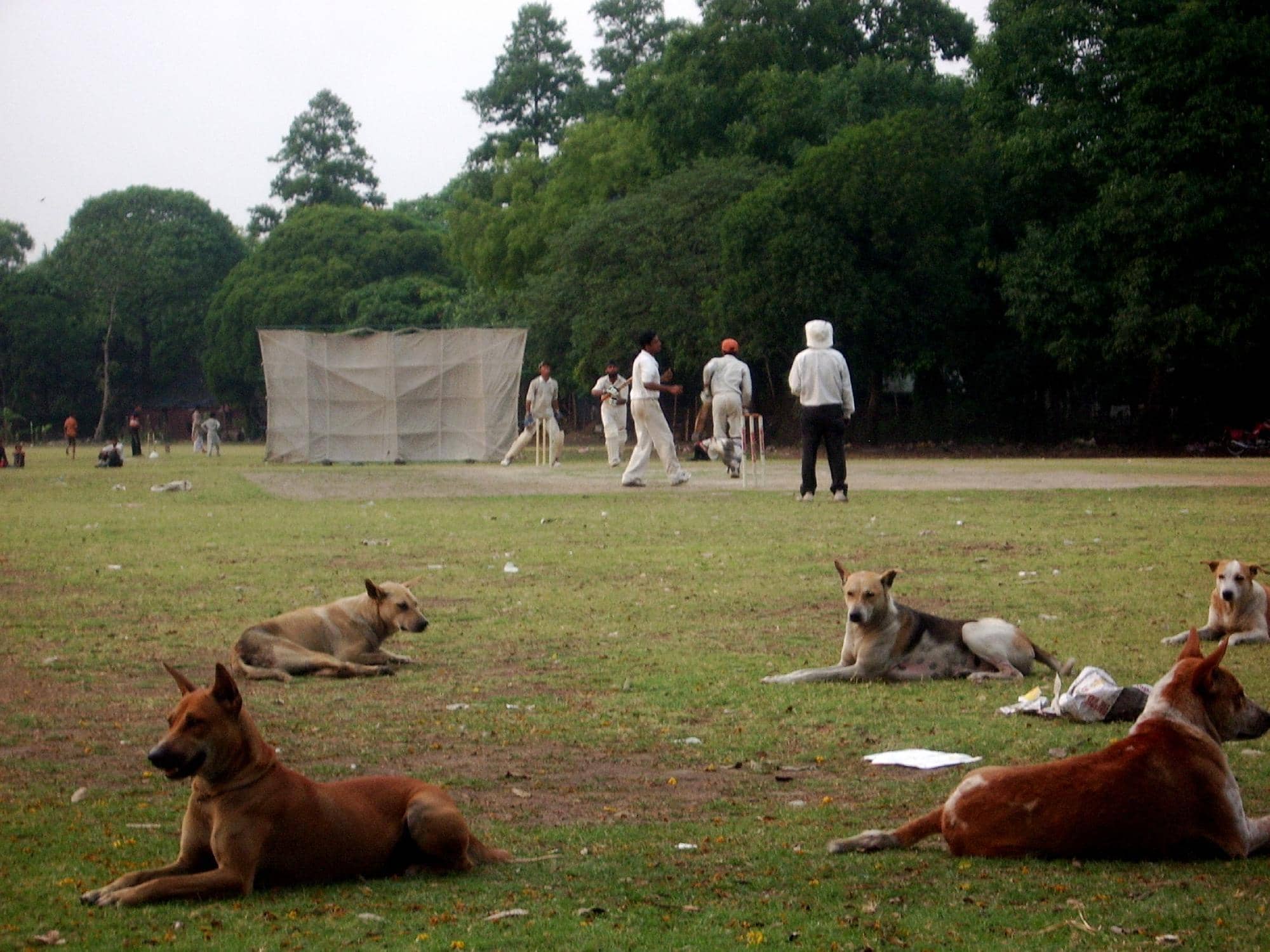 Revolution of Dignity Memorial