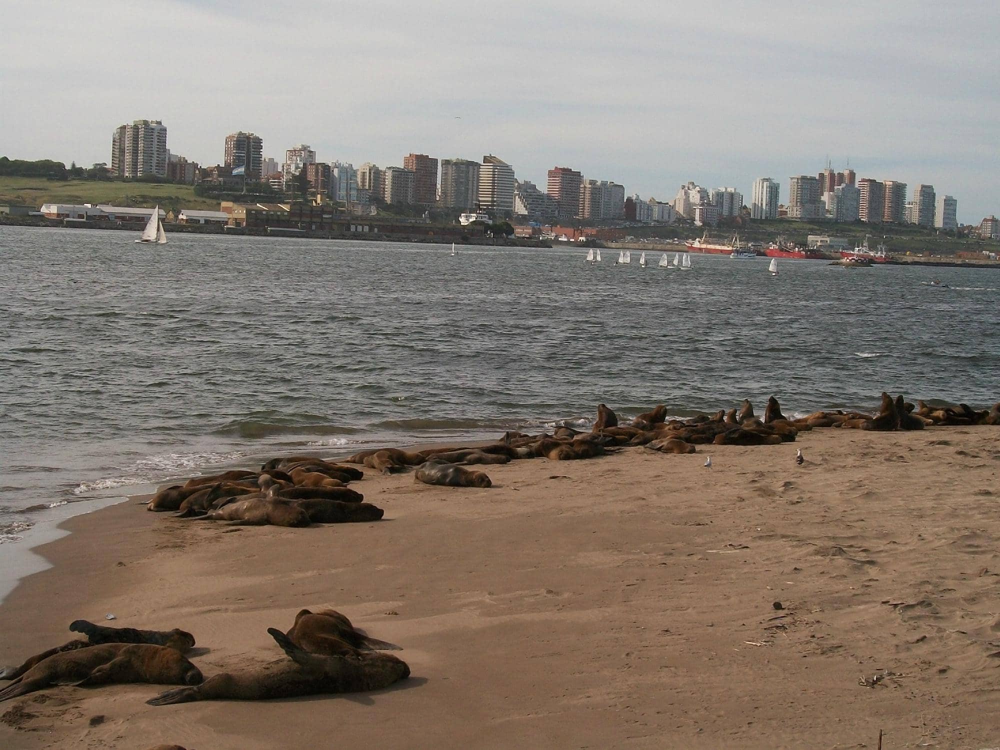 Bristol Beach