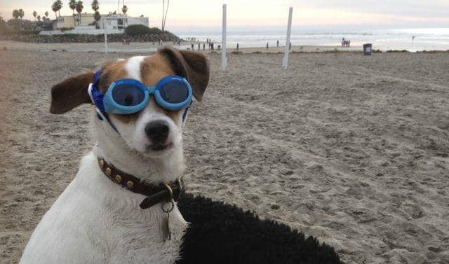 Scenic Coastal Walks