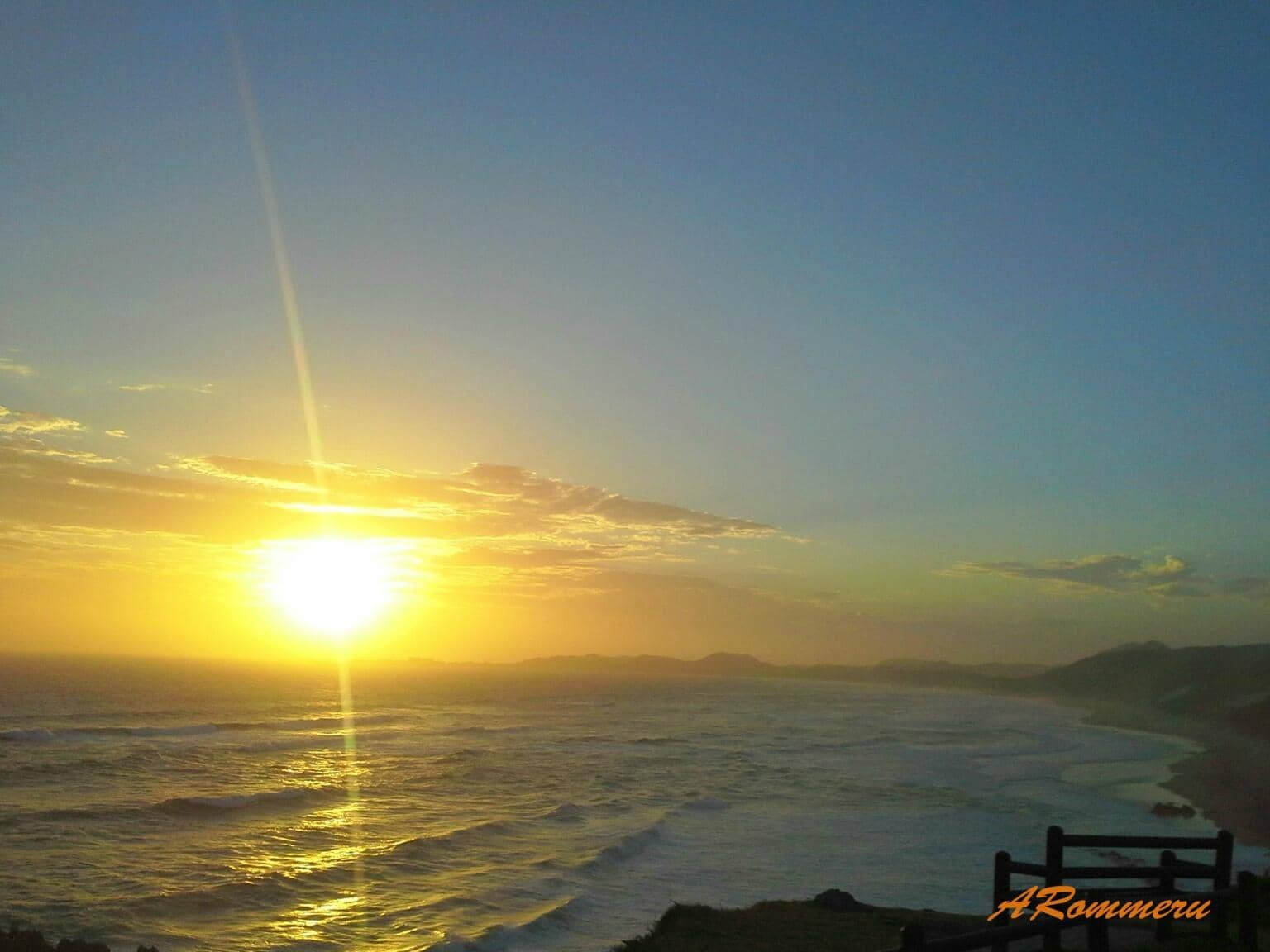 Dog-Friendly Beach Walks