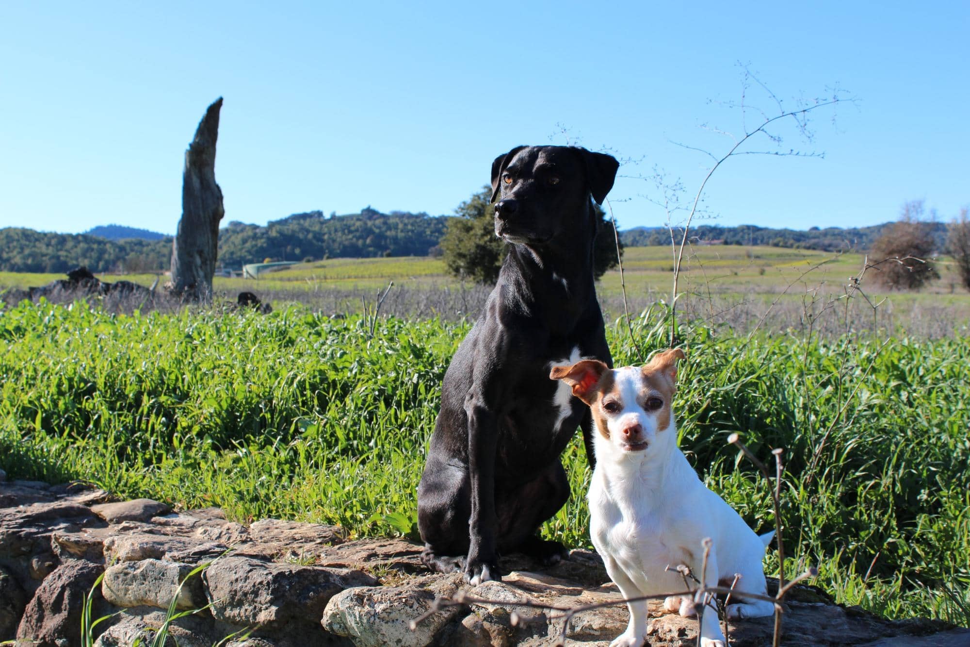 Scenic Hiking Trails