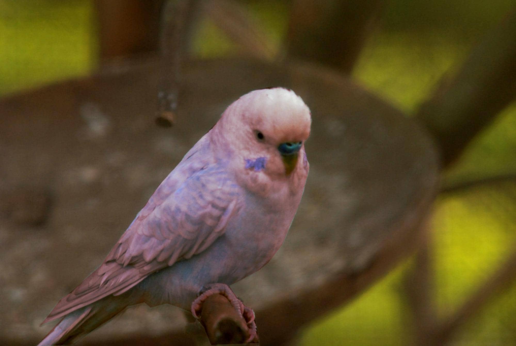 Stone Sculptures & Art