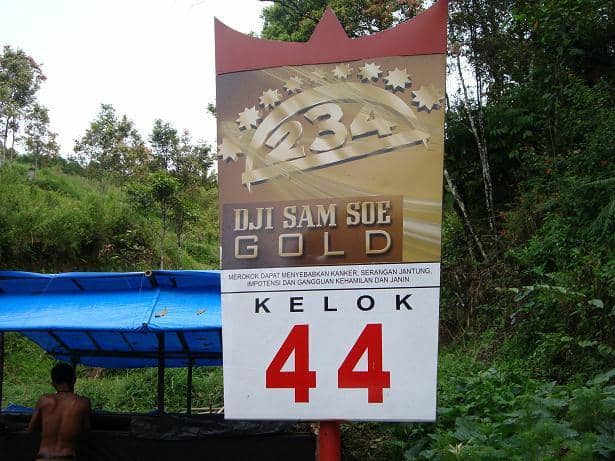 Lush Greenery & Rice Terraces