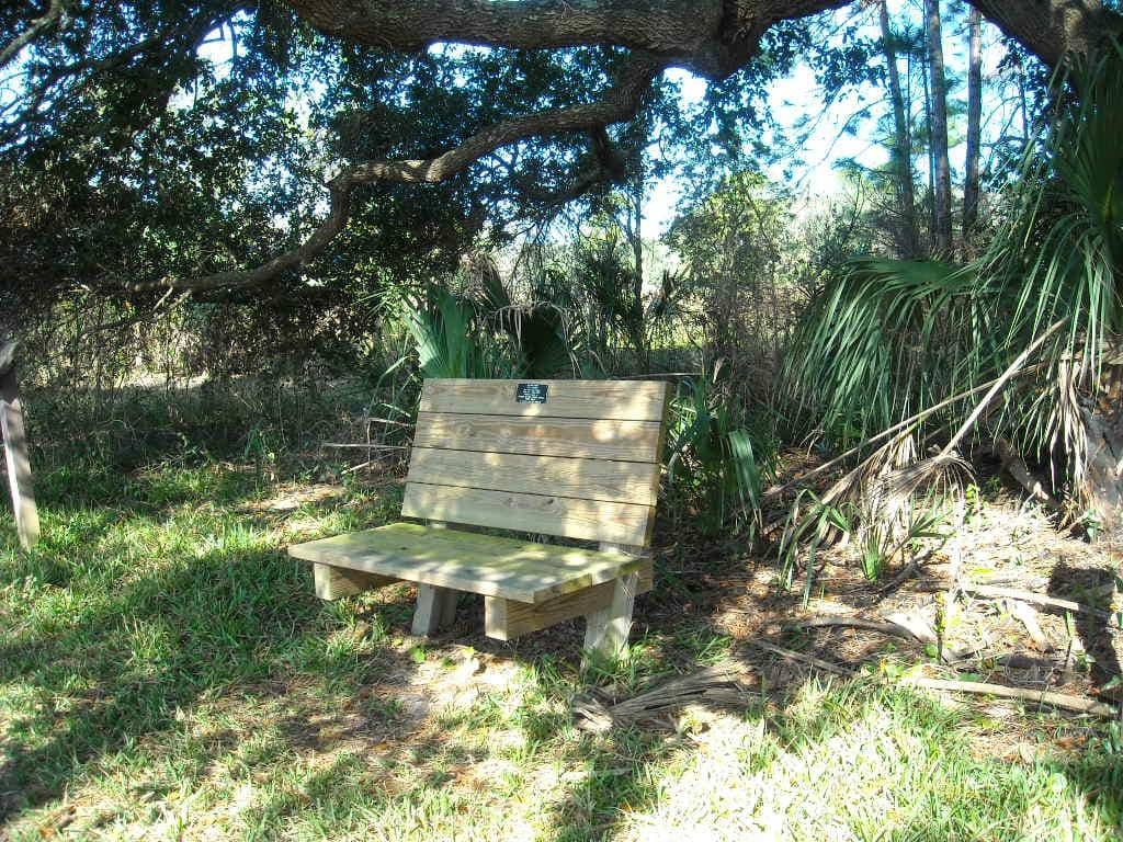 Peaceful Boardwalks