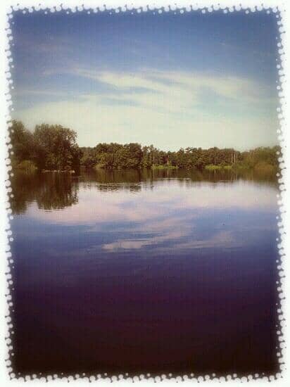 Bird Hides
