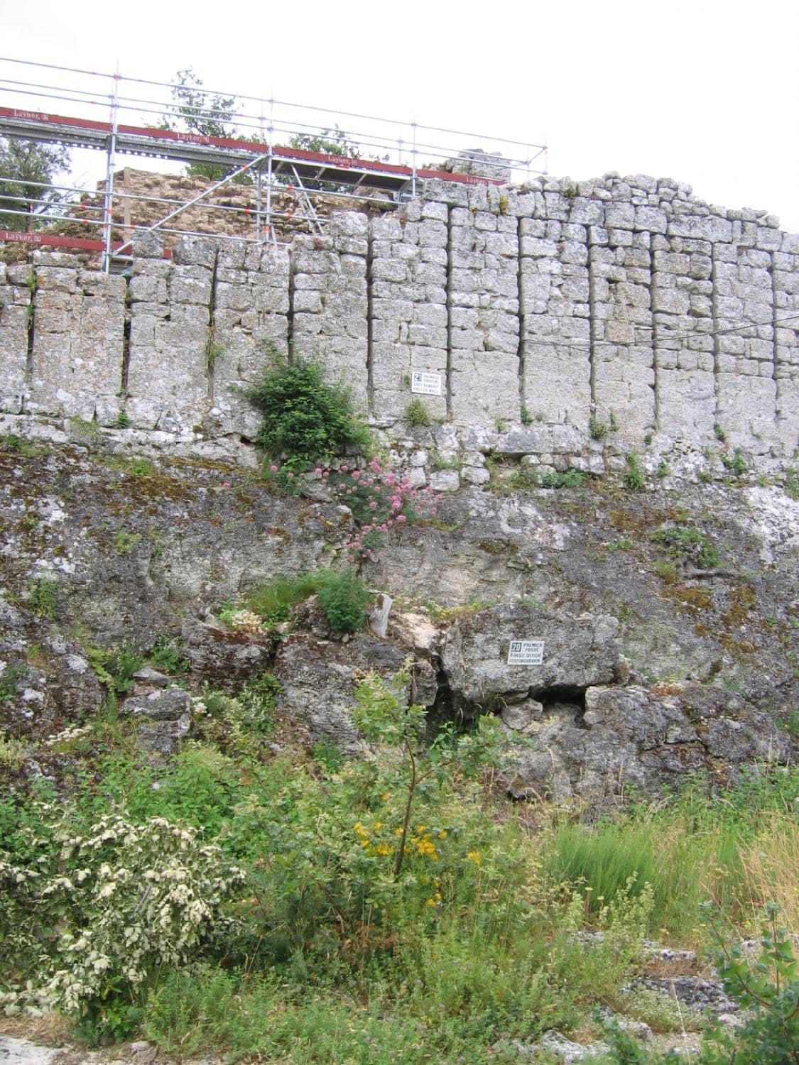 Panoramic Valley Views