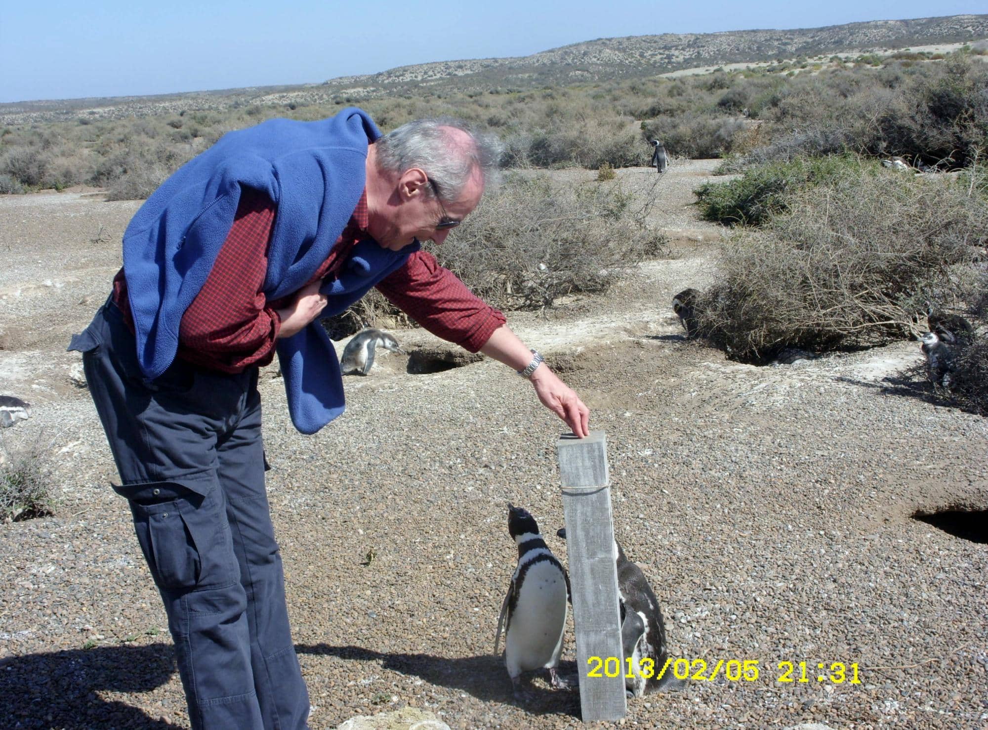 Scenic Coastal Views